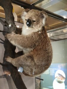 6959f005-5bfd-4a47-9d2a-03ec3454870b